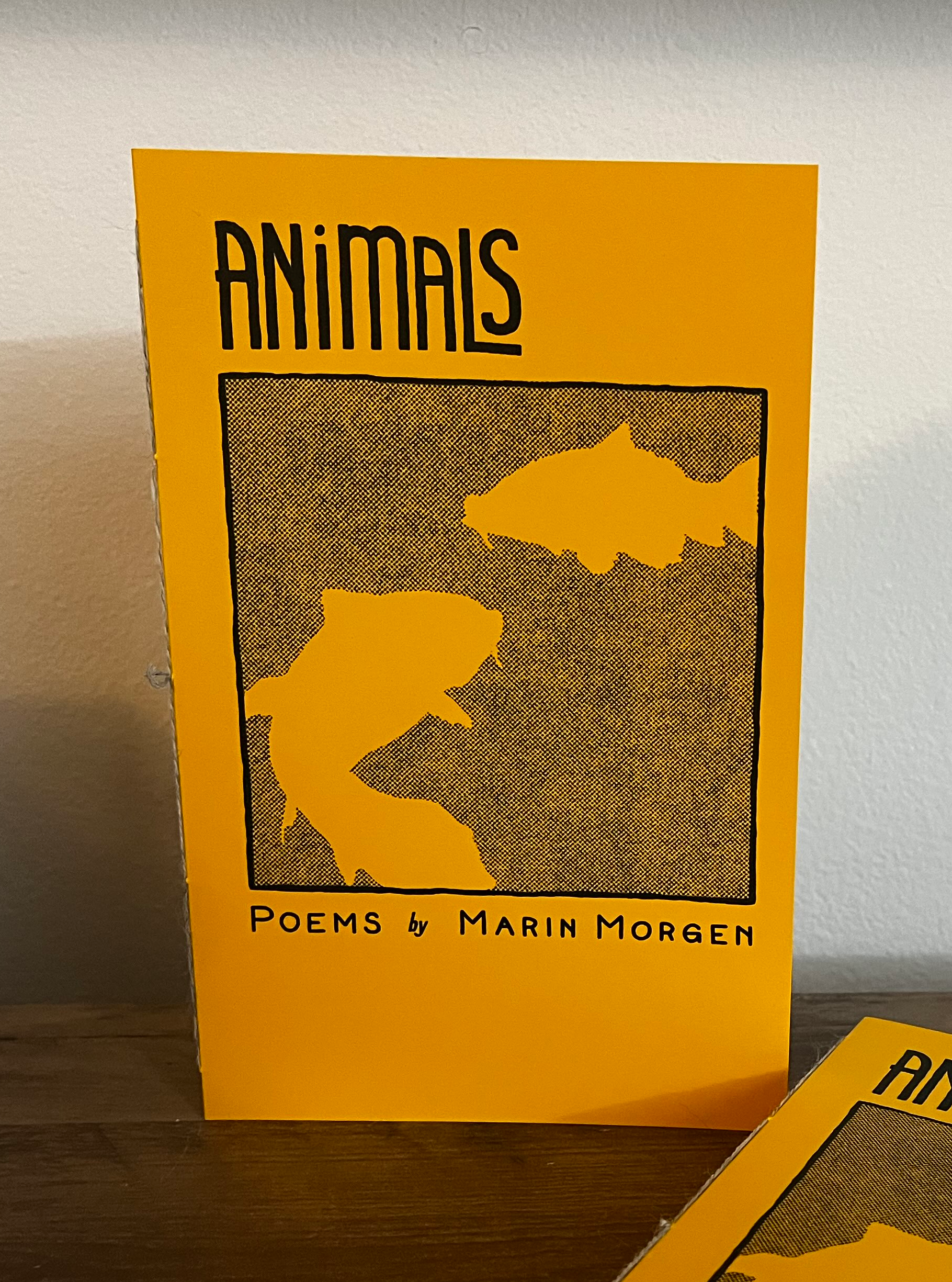 A zine titled Animals, with an illustration of koi fish swimming gently in still water