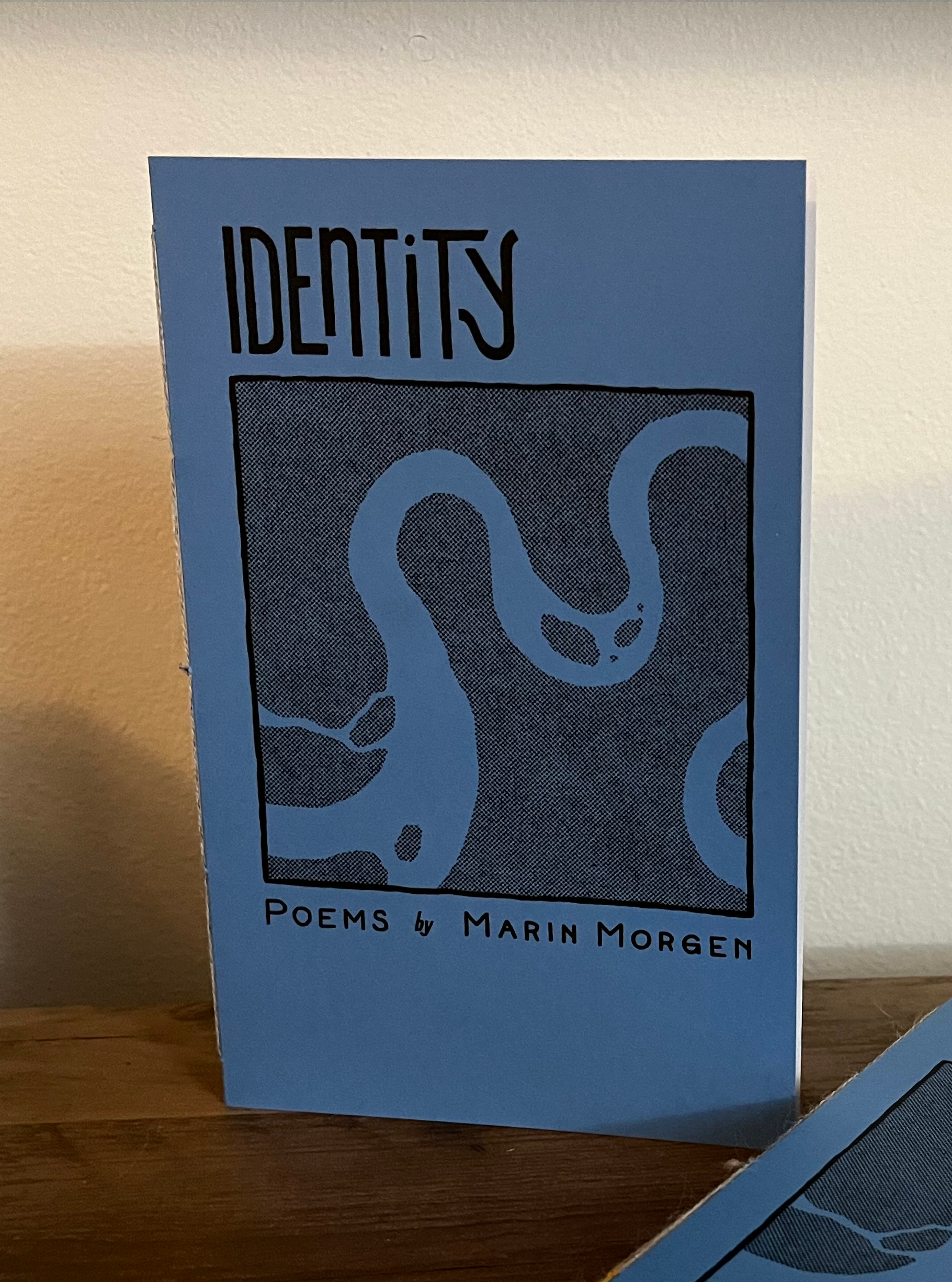 A zine (short pamphlet) titled Identity, with an illustration of a meandering river
