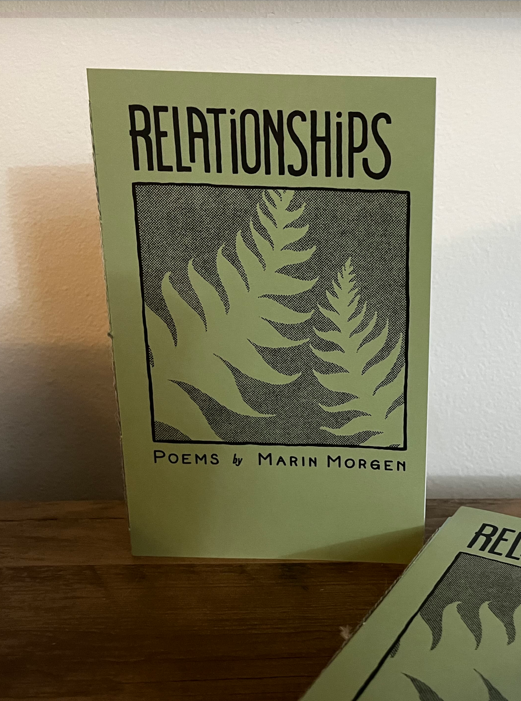 A zine titled Relationships, with an illustration of two fern leaves almost touching